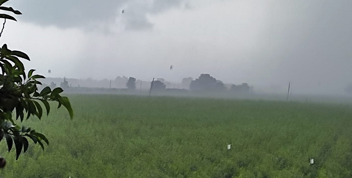 ઉમરાળા પંથકમાં અમાસનો વરસાદ