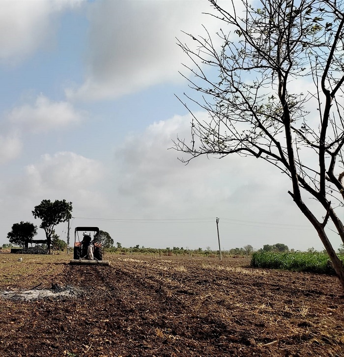 ચોમાસુ ખેતીકામ શરૂ