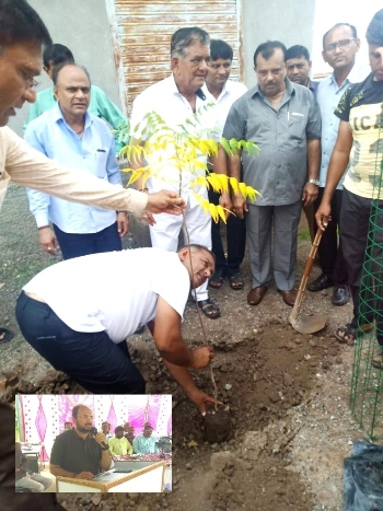 ગોલરામા ગામે વૃક્ષારોપણ કરાયું