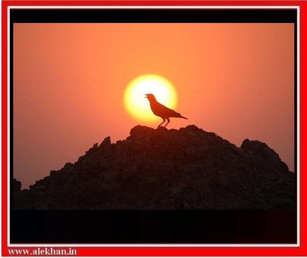 ત્રસ્ત નહિ, કોઈ મસ્ત પણ છે..!