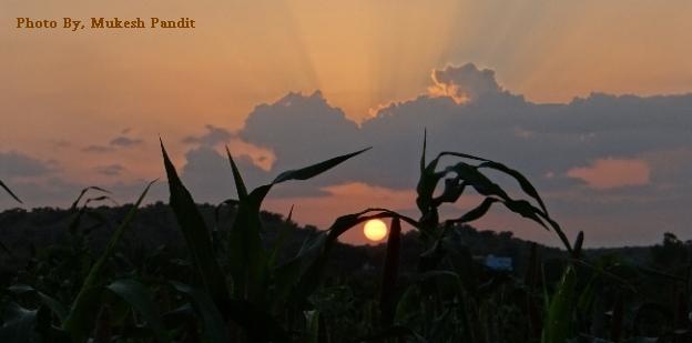 જોઈ શકીએ અને માણી શકીએ તો...!